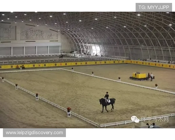 ld体育官方入口最新登录指南帮助玩家顺利进入平台体验优质体育赛事直播与投注服务